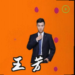 王芳